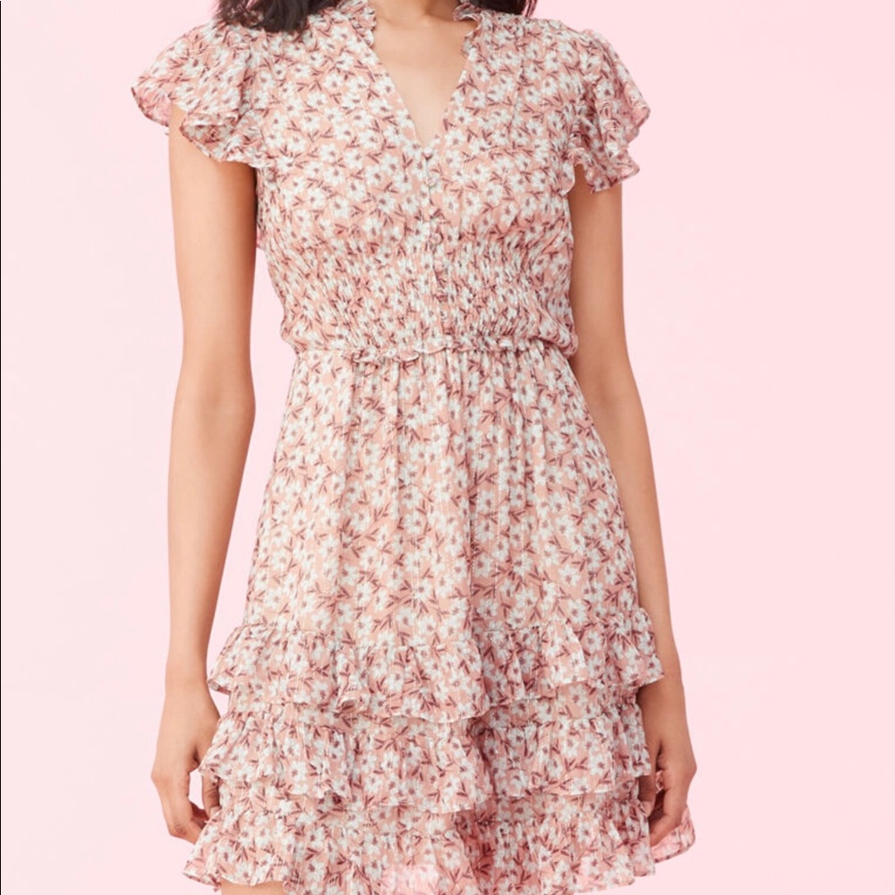NWT Rebecca Taylor Silk Floral dress